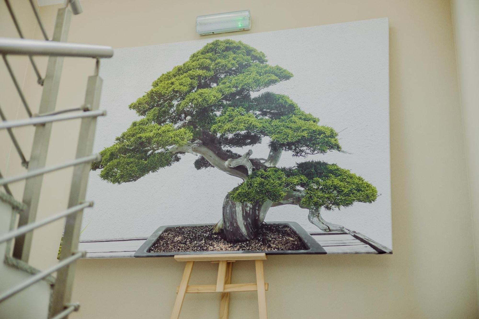 Hotel Bonsai Niemcza Eksteriør bilde