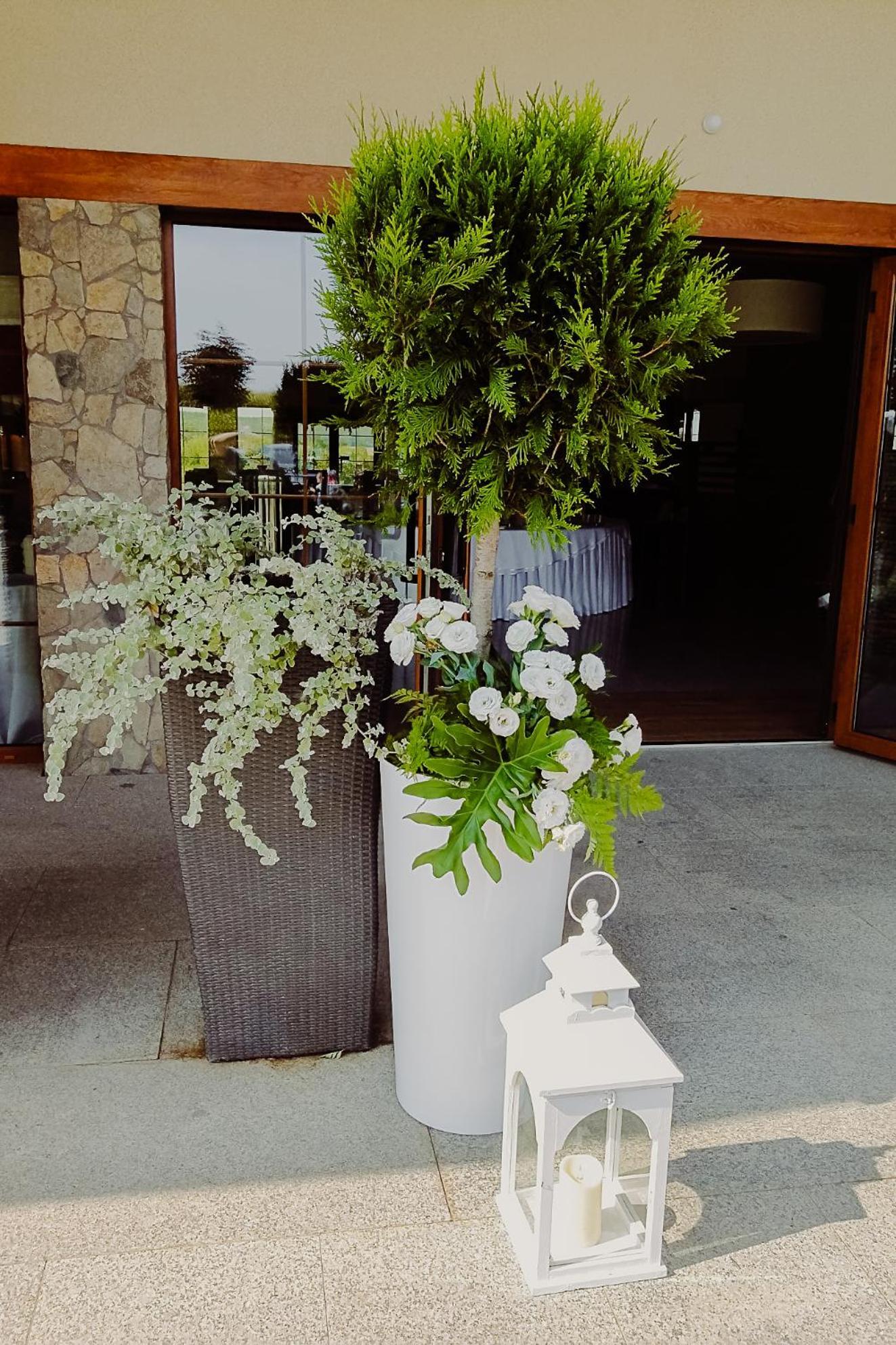 Hotel Bonsai Niemcza Eksteriør bilde